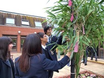 イギリス人との食事、七夕、ホームステイ出発と盛り沢山の学期末の様子