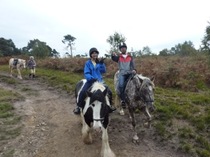 「クマのプーさん」の森、アッシュダウンで乗馬をしてきました。