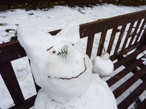 キャンパスに降り積もった真っ白な雪!朝から大はしゃぎの生徒達。