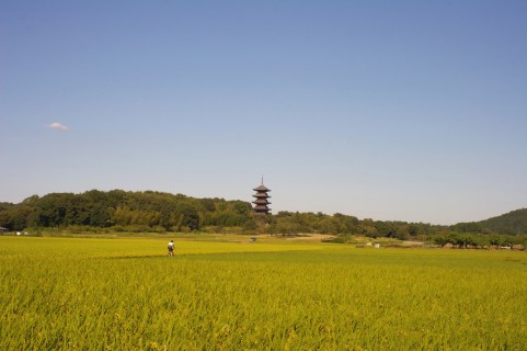 「夏休みの思い出」