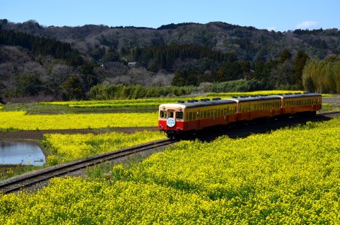 「在来線一人旅：あこがれていた日本の鉄道旅行」