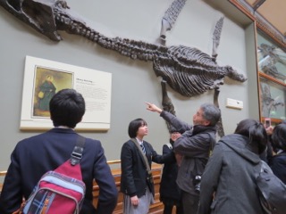 小・中学生遠足「自然史博物館とウェストフィールドショッピングセンター」