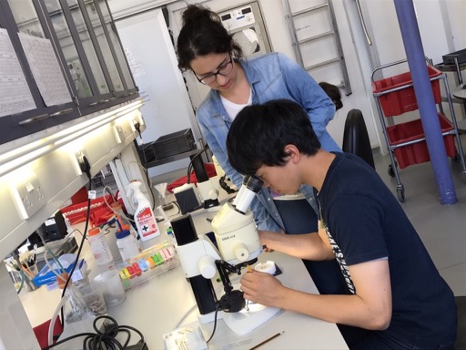 2017 Cambridge UK-Japan Young Scientist Workshop体験記②